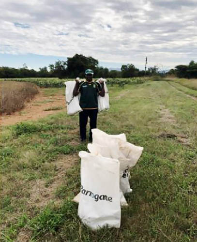 Plant and soil samples being taken from the stand near Rustenburg